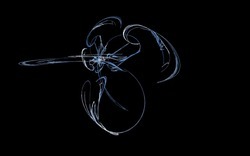 2014 05 08 Calm Before 02-black.jpg